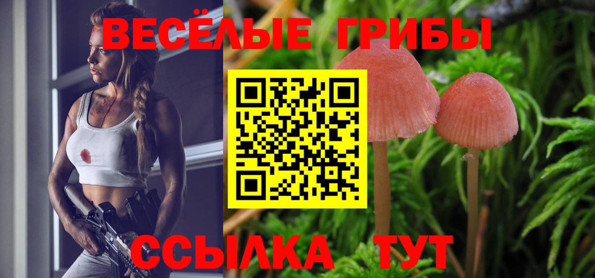 Псилоцибиновые грибы мухоморы  Вход с VPN  Алапаевск  Галлюциногенные грибы MAGIC MUSHROOMS 